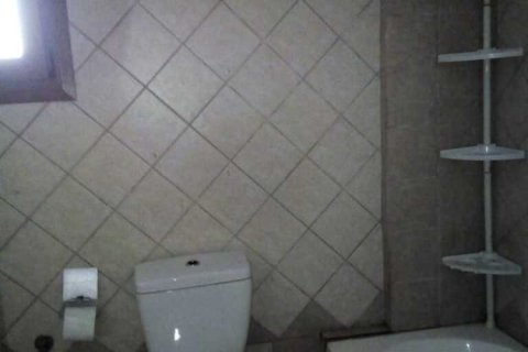 Дом с 5 спальнями в Халкидики, Греция №108737 22