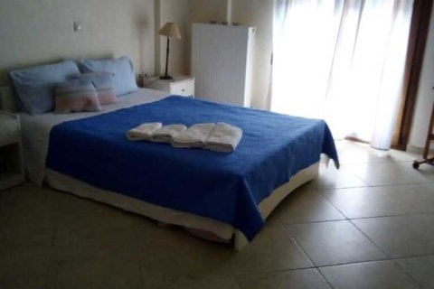 Дом с 5 спальнями в Халкидики, Греция №108737 11