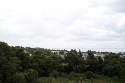 Дом с 5 спальнями в Халкидики, Греция №108737 29