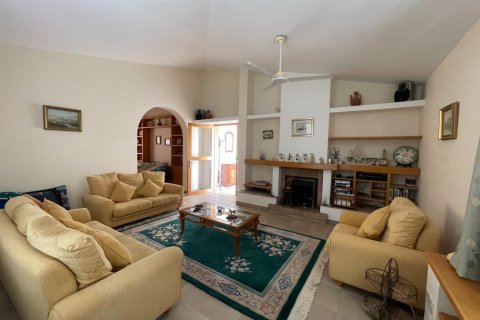 5 bedrooms Villa in Paphos, Cyprus No. 37523 8