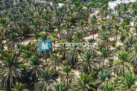 Земельный участок 756.2м² в Райана Авеню, Вьетнам №92684 10