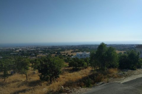 Вилла с 5 спальнями в Пафос, Кипр №105782 15