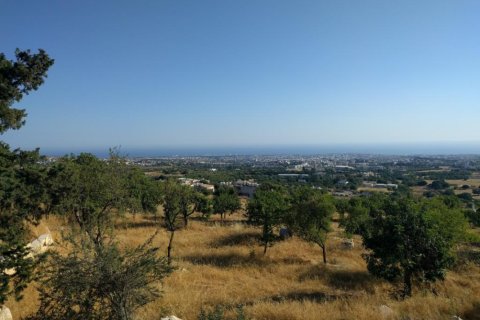 Вилла с 5 спальнями в Пафос, Кипр №105782 14