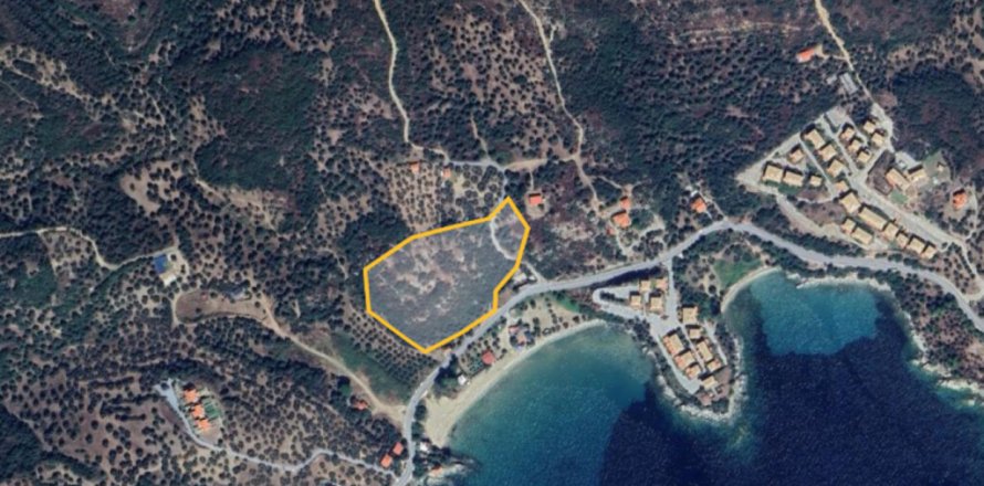15250m² Land à Chalkidiki, Greece No. 109431