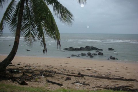 4900m² Land in Ko Lanta Yai, Thailand No. 97448 5