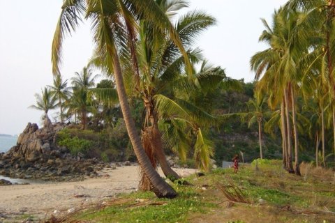 4900m² Land in Ko Lanta Yai, Thailand No. 97448 1