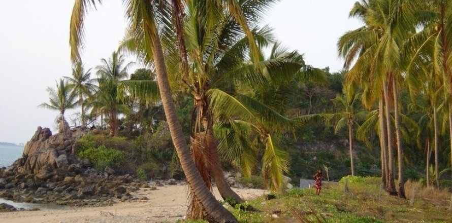 4900m² Land in Ko Lanta Yai, Thailand No. 97448