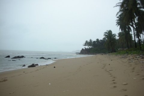 4900m² Land in Ko Lanta Yai, Thailand No. 97448 4