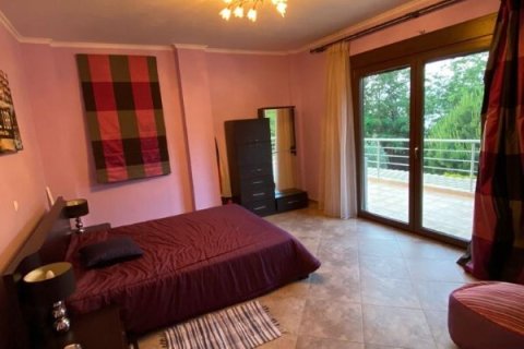 Вилла с 2 спальнями в Халкидики, Греция №54445 13