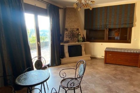 Вилла с 2 спальнями в Халкидики, Греция №54445 7