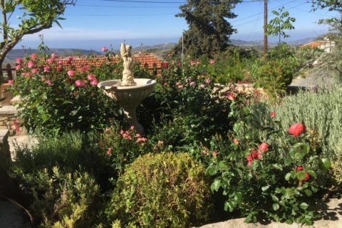 Вилла с 3 спальнями в Лимассол, Кипр №107030 3