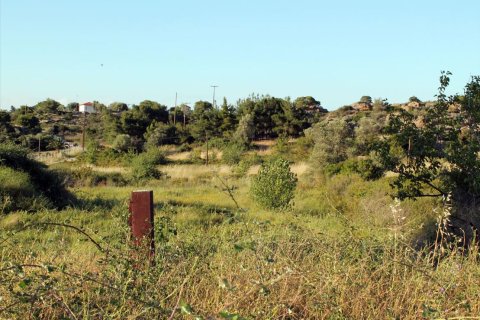 3391m² Land à Chalkidiki, Greece No. 60313 2