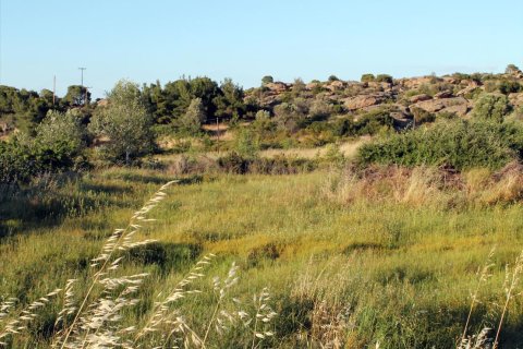 3391m² Land à Chalkidiki, Greece No. 60313 6