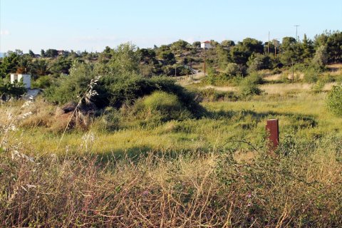3391m² Land à Chalkidiki, Greece No. 60313 4