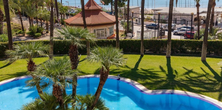 Studio Properties in Hoa Son, Vietnam No. 116652