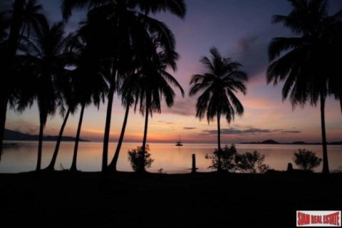 1 bedroom Villa in Surat Thani, Thailand No. 96723 11