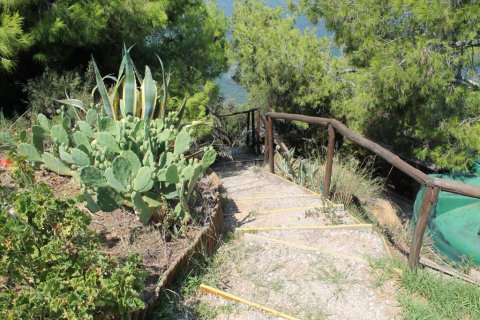 430m² Villa in Chalkidiki, Greece No. 109713 30