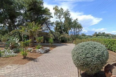 4 dormitorios Villa en Central Greece, Greece No. 80128 11