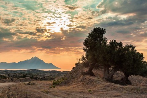 Вилла с 3 спальнями в Халкидики, Греция №109644 7