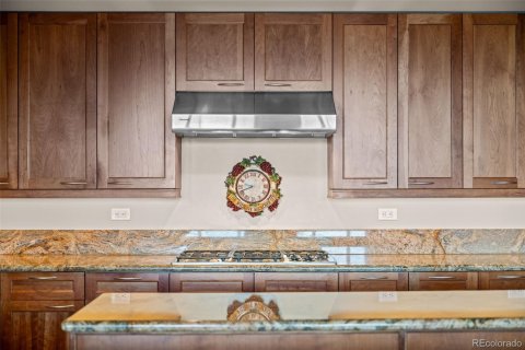 3 bedrooms Condo  in Denver, USA No. 61992 14