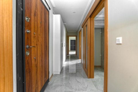 Квартира с 2 спальнями в Tien Lang, Вьетнам №13713 6