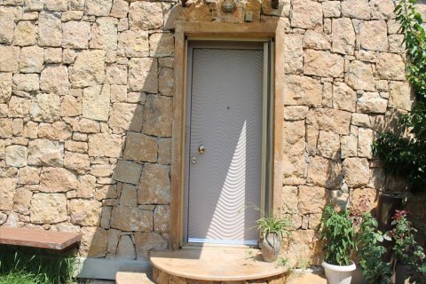 430m² Villa in Chalkidiki, Greece No. 109718 6