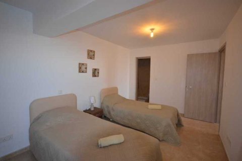 Дом с 6 спальнями в Пейя, Кипр №29219 6