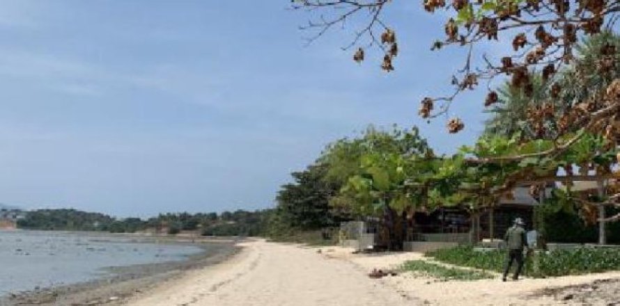 5600m² Land in Surat Thani, Thailand No. 95989