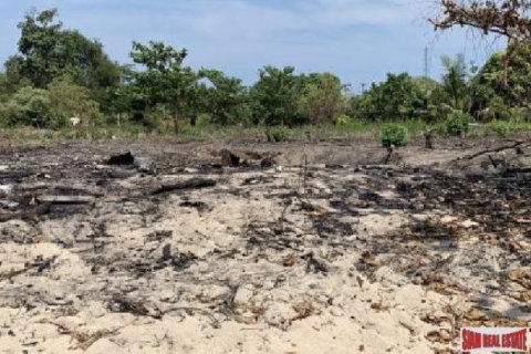 5600m² Land in Surat Thani, Thailand No. 95989 5