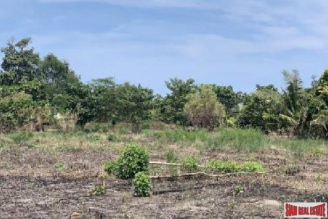 5600m² Land in Surat Thani, Thailand No. 95989 4