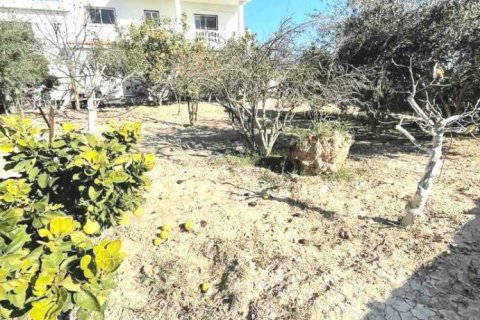 5 bedrooms Villa in Anafotia, Cyprus No. 79646 5