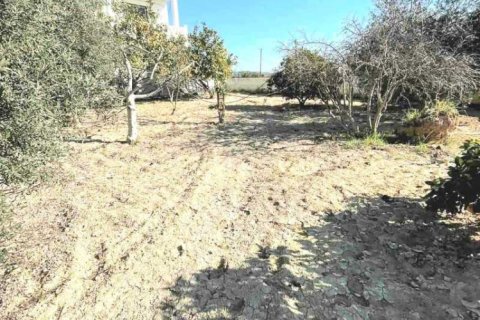 5 bedrooms Villa in Anafotia, Cyprus No. 79646 7