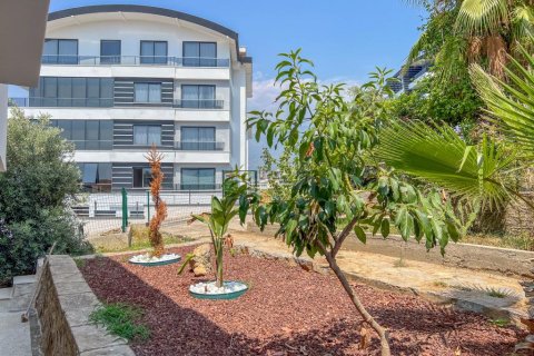 2 rooms Apartment in Lien Chieu, Vietnam No. 18065 13