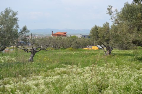 6100m² Land à Chalkidiki, Greece No. 120798 3