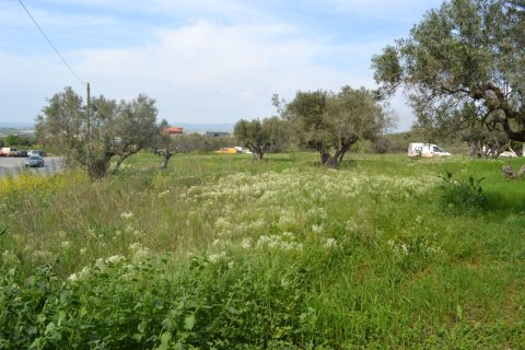 6100m² Land à Chalkidiki, Greece No. 120798 2