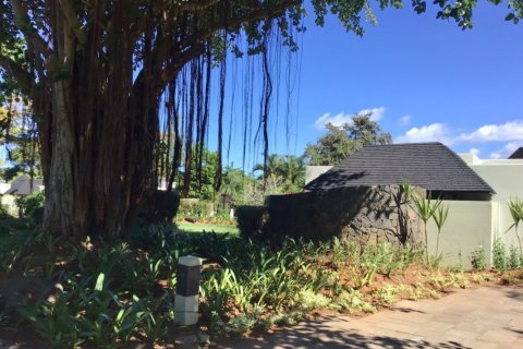 3 bedrooms Villa in Flacq, Mauritius No. 60929 5