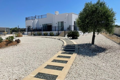 5 bedrooms Bungalow in Paphos, Cyprus No. 37803 13