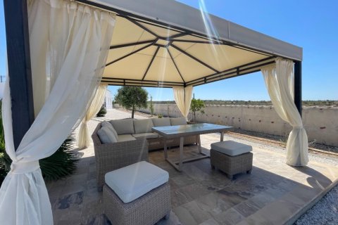 5 bedrooms Bungalow in Paphos, Cyprus No. 37803 11