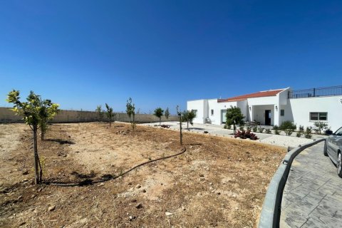 5 bedrooms Bungalow in Paphos, Cyprus No. 37803 5