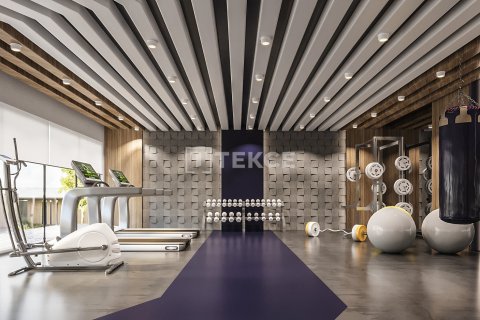 1 dormitorio Apartment en Chau Lang, Vietnam No. 53499 13