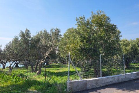 4 bedrooms House in Chalkidiki, Greece No. 108320 5