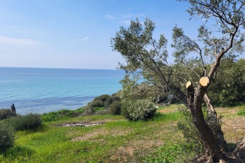 4 bedrooms House in Chalkidiki, Greece No. 108320 2