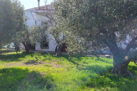 4 bedrooms House in Chalkidiki, Greece No. 108320 7