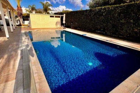 3 bedrooms House in Pegeia, Cyprus No. 66489 13