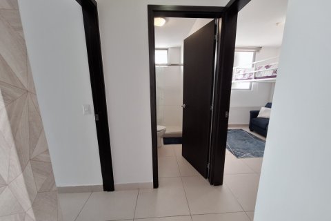 2 bedrooms Apartment in Panama City, Panama No. 117804 10