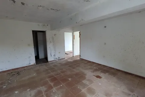 562m² Land in Calibishie, Dominica No. 80130 14