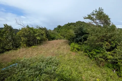 562m² Land in Calibishie, Dominica No. 80130 17