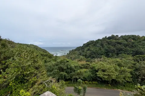 562m² Land in Calibishie, Dominica No. 80130 3