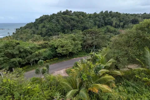 562m² Land in Calibishie, Dominica No. 80130 11