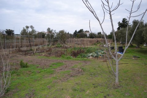 Земельный участок 1000м² в Полийирос, Греция №109636 2